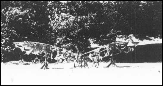 William Lafayette Quick