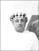L. L. Walker